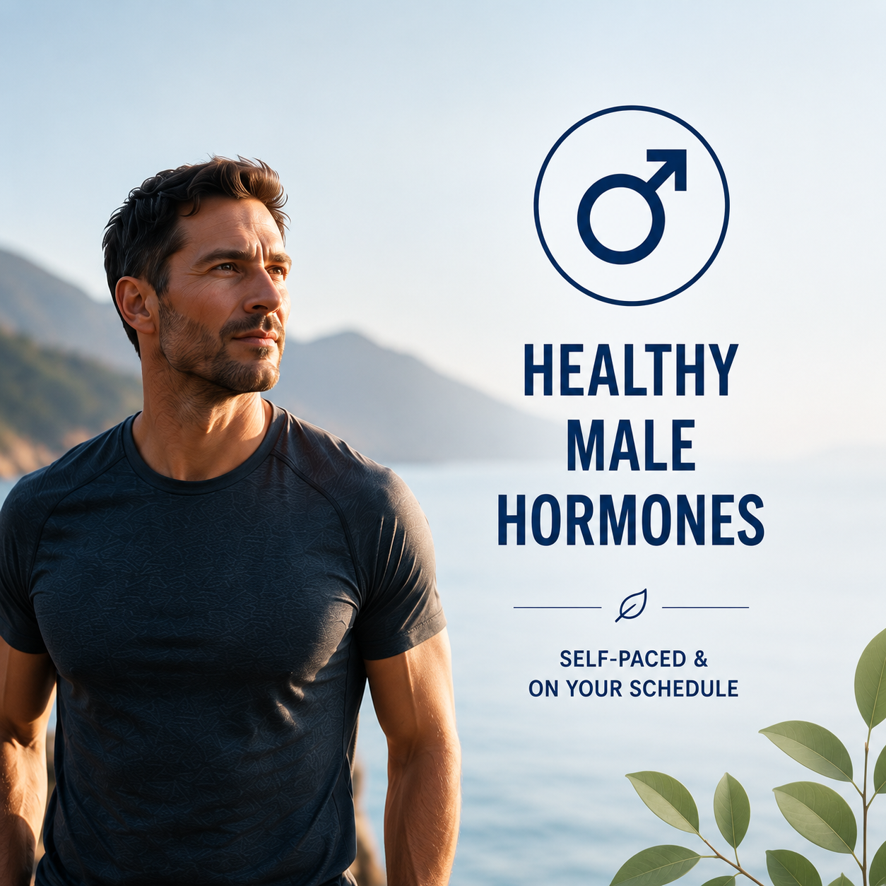 Male hormones education lesson plan