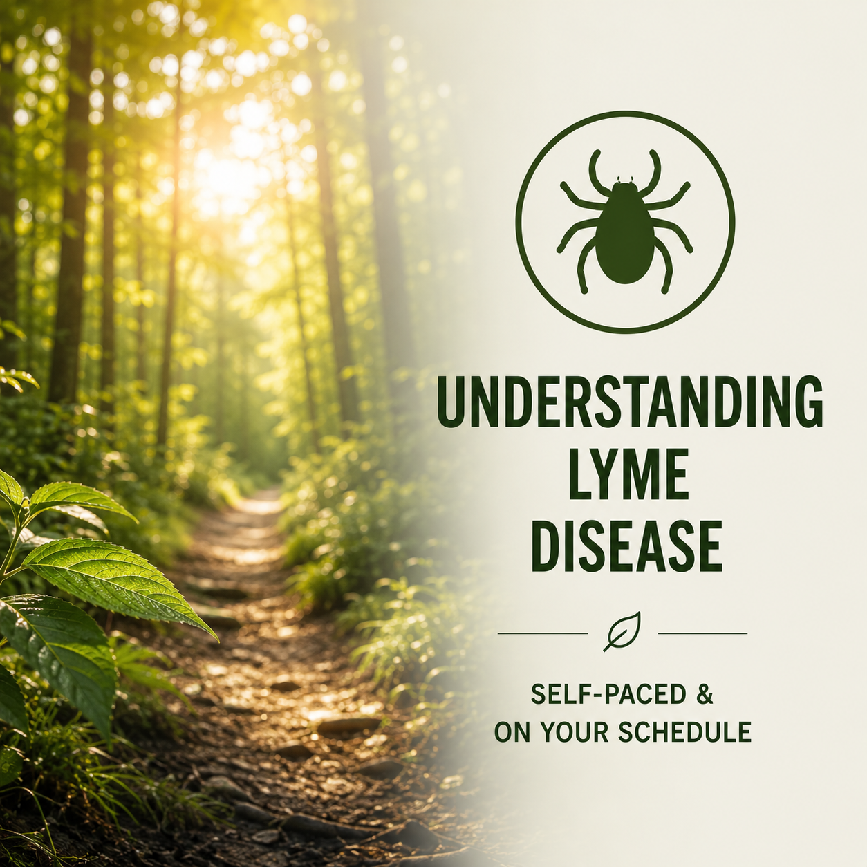 Lyme disease education lesson plan